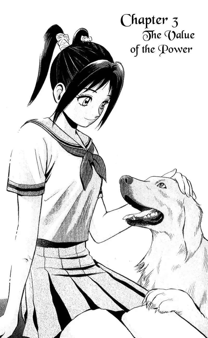 Animal Sense Chapter 3 2